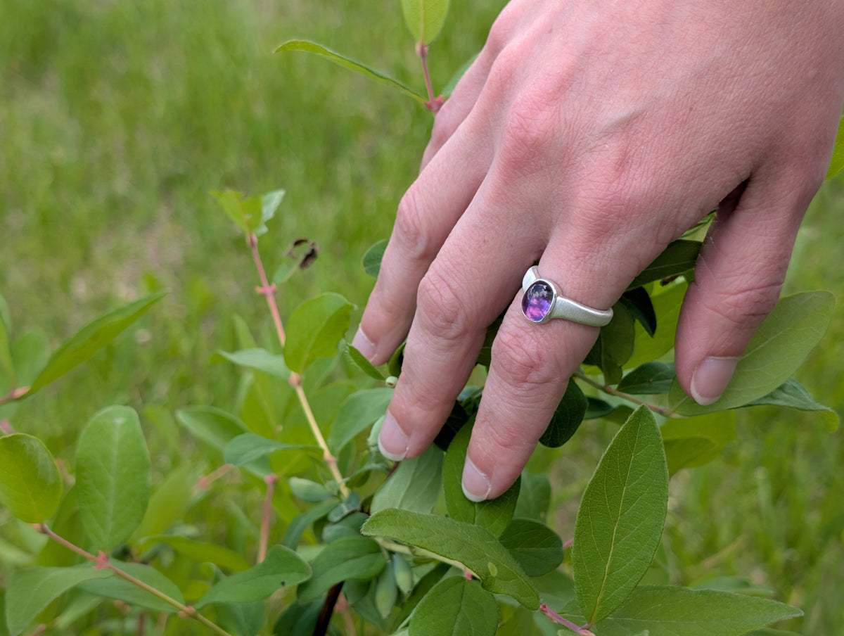 A silver ring with a cushion cut smooth cabochon amethyst, worn on the index finger of a hand that hovers over bright green leaves of a honey berry shrub